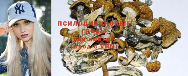 трава Баксан