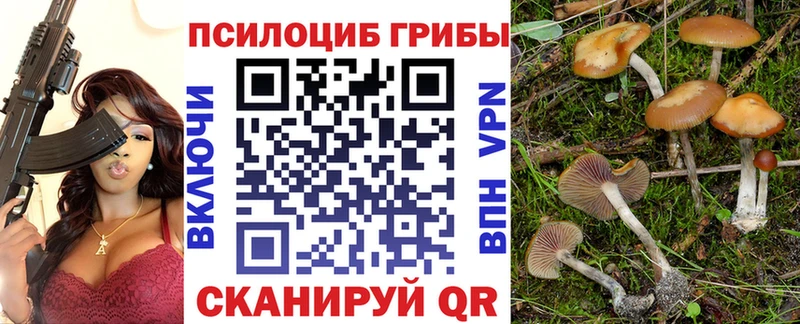 Галлюциногенные грибы прущие грибы  дарнет шоп  Югорск 